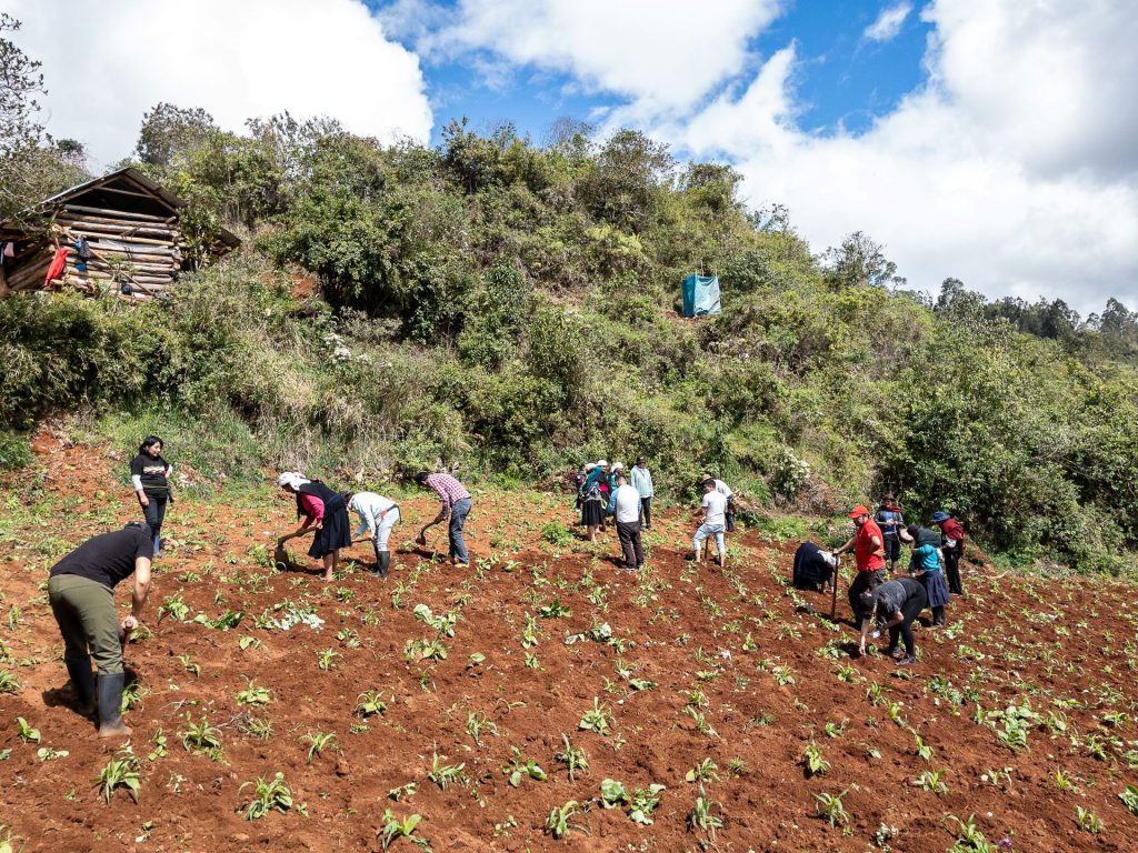 Routes of the Ecomuseum of Chachapoyas